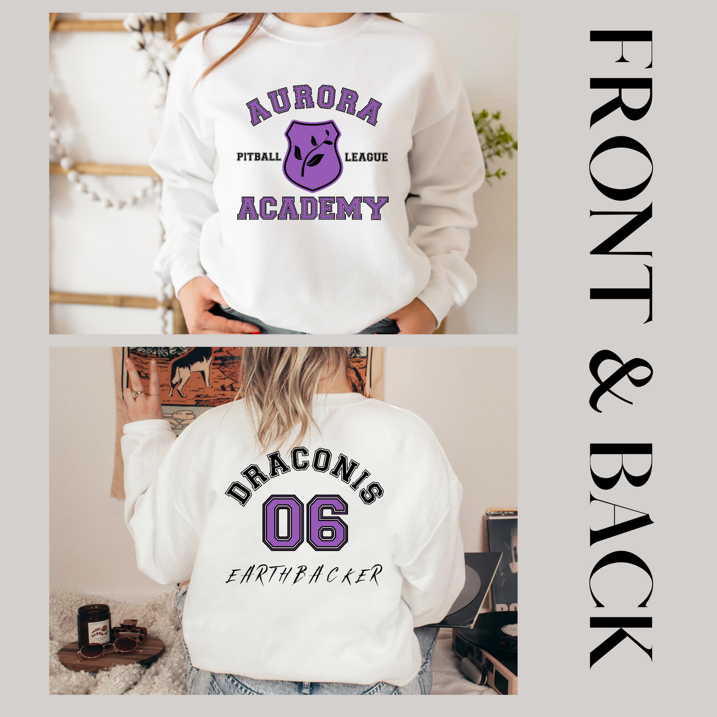 Draconis EarthBacker Pitball Aurora Academy