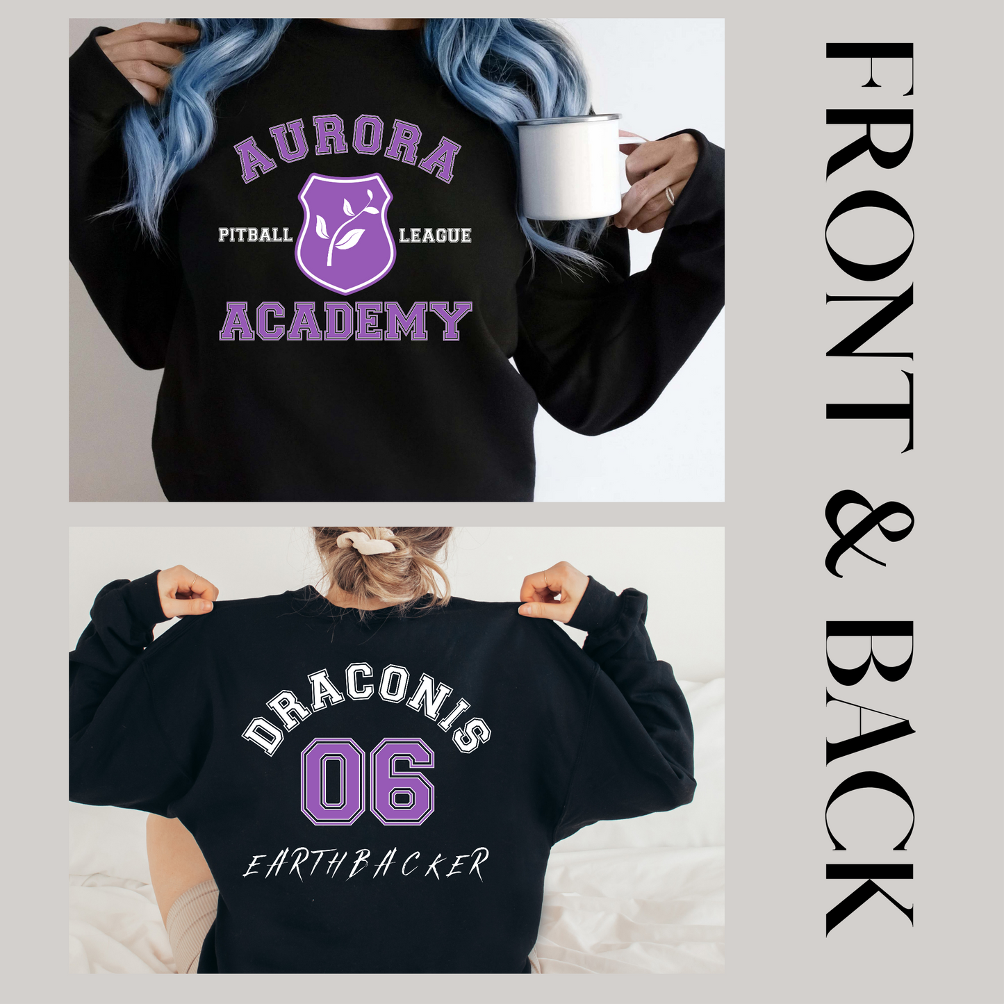 Draconis EarthBacker Pitball Aurora Academy